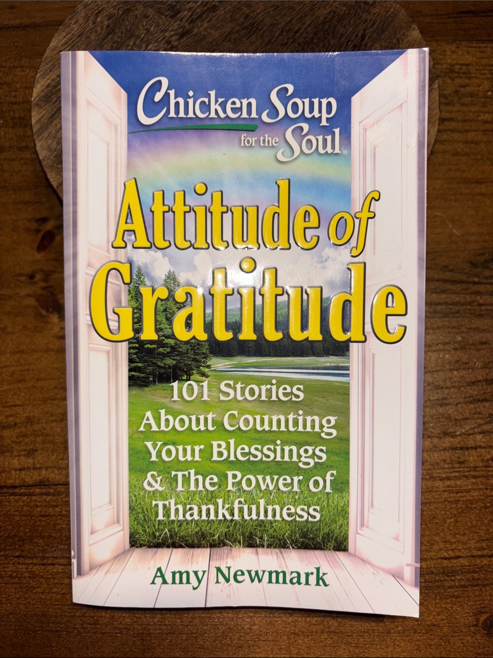 Chicken Soup 4 Soul Attitude of Gratitude Self Help Book Soft Cover Amy Newmark